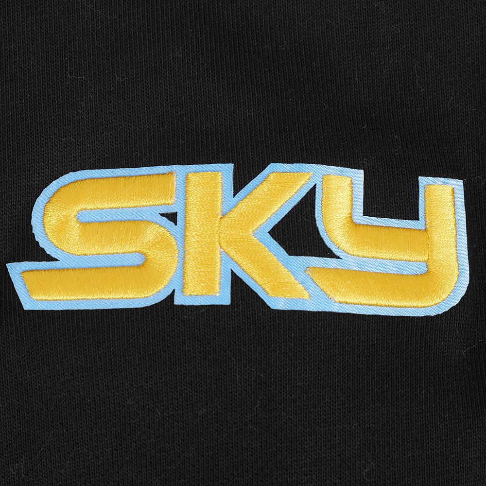 CHICAGO SKY MEN'S PULL OVER HOODIE CITY RANSOM