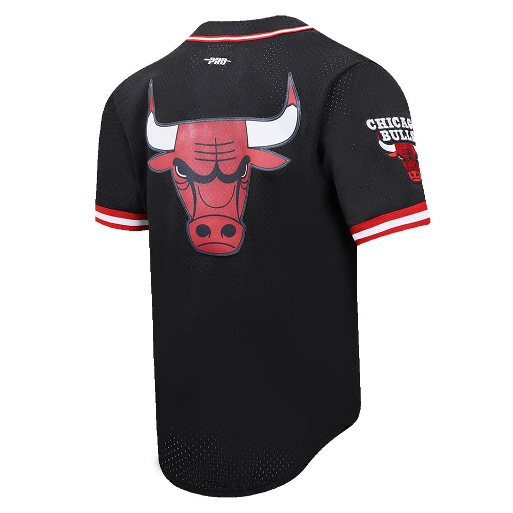 CHICAGO BULLS MEN'S BUTTON DOWN MESH TOP SCRIPT TAIL
