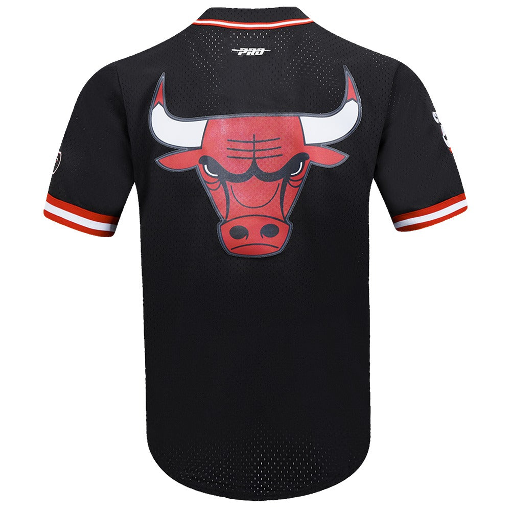 CHICAGO BULLS MEN'S BUTTON DOWN MESH TOP SCRIPT TAIL