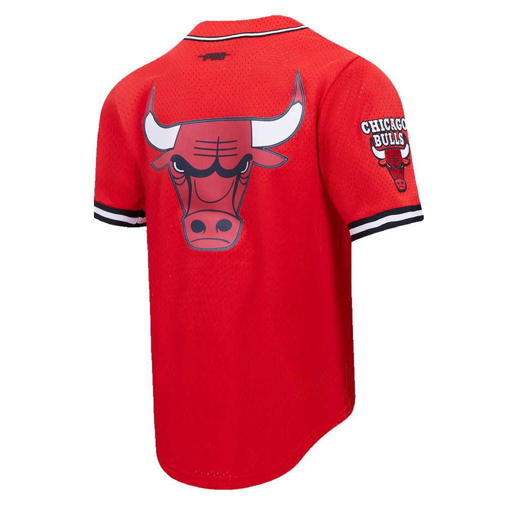 CHICAGO BULLS MEN'S BUTTON DOWN MESH TOP SCRIPT TAIL