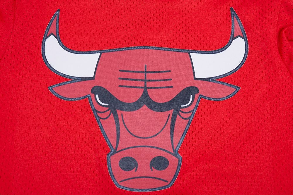 CHICAGO BULLS MEN'S BUTTON DOWN MESH TOP SCRIPT TAIL