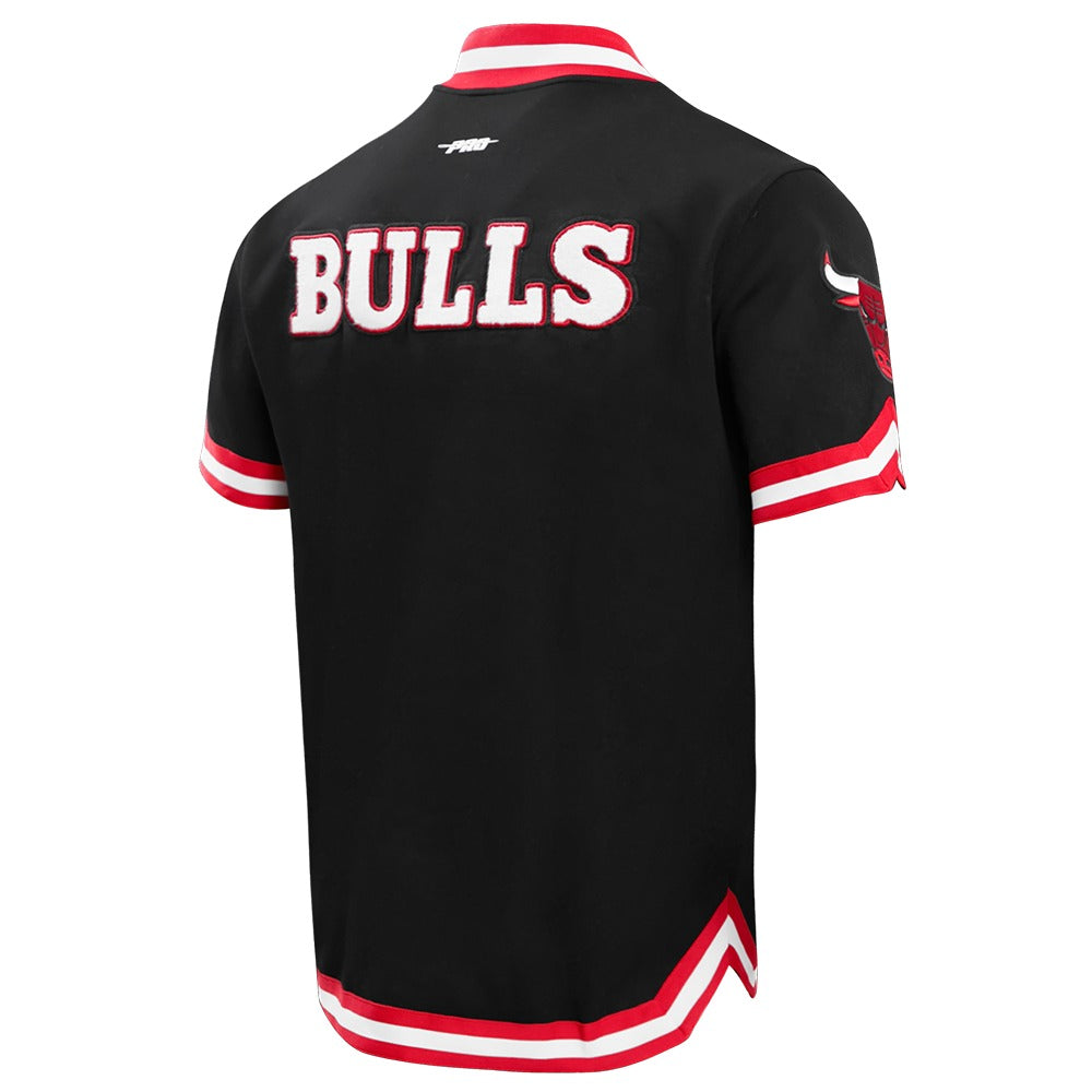 CHICAGO BULLS MEN'S BUTTON DOWN CLASSIC CHENILLE