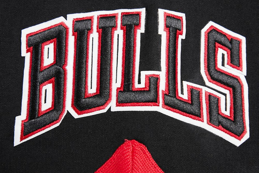 CHICAGO BULLS MEN'S BUTTON DOWN CLASSIC CHENILLE