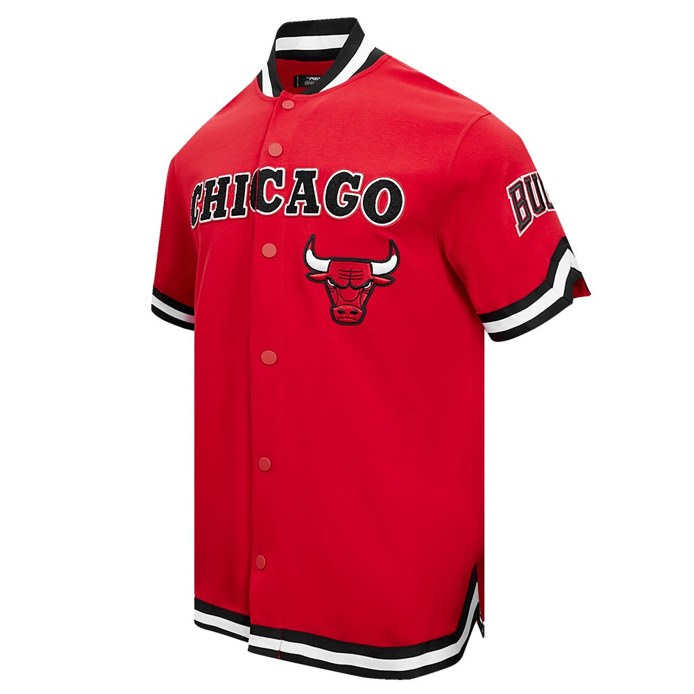 CHICAGO BULLS MEN'S BUTTON DOWN CLASSIC CHENILLE