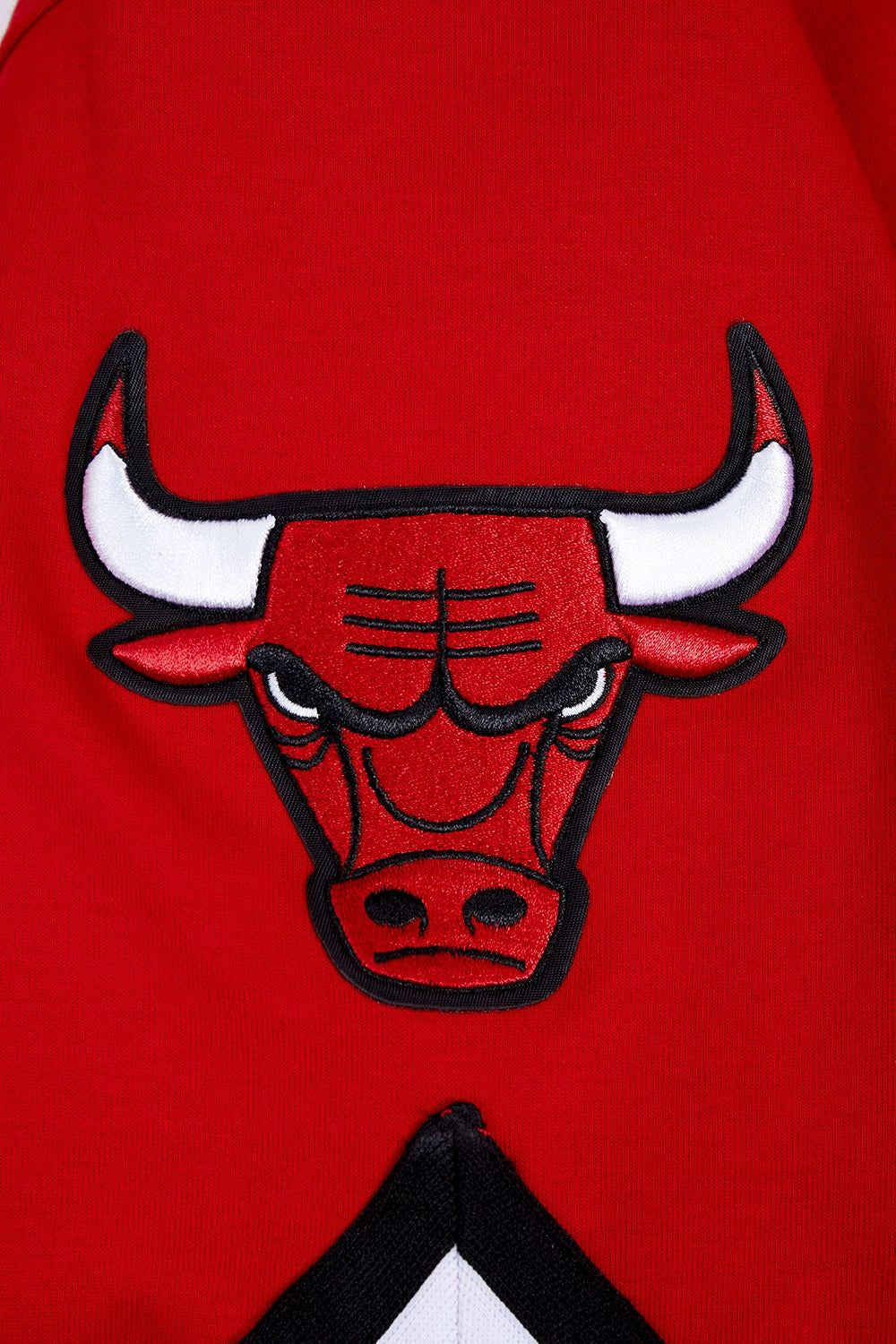 CHICAGO BULLS MEN'S BUTTON DOWN CLASSIC CHENILLE