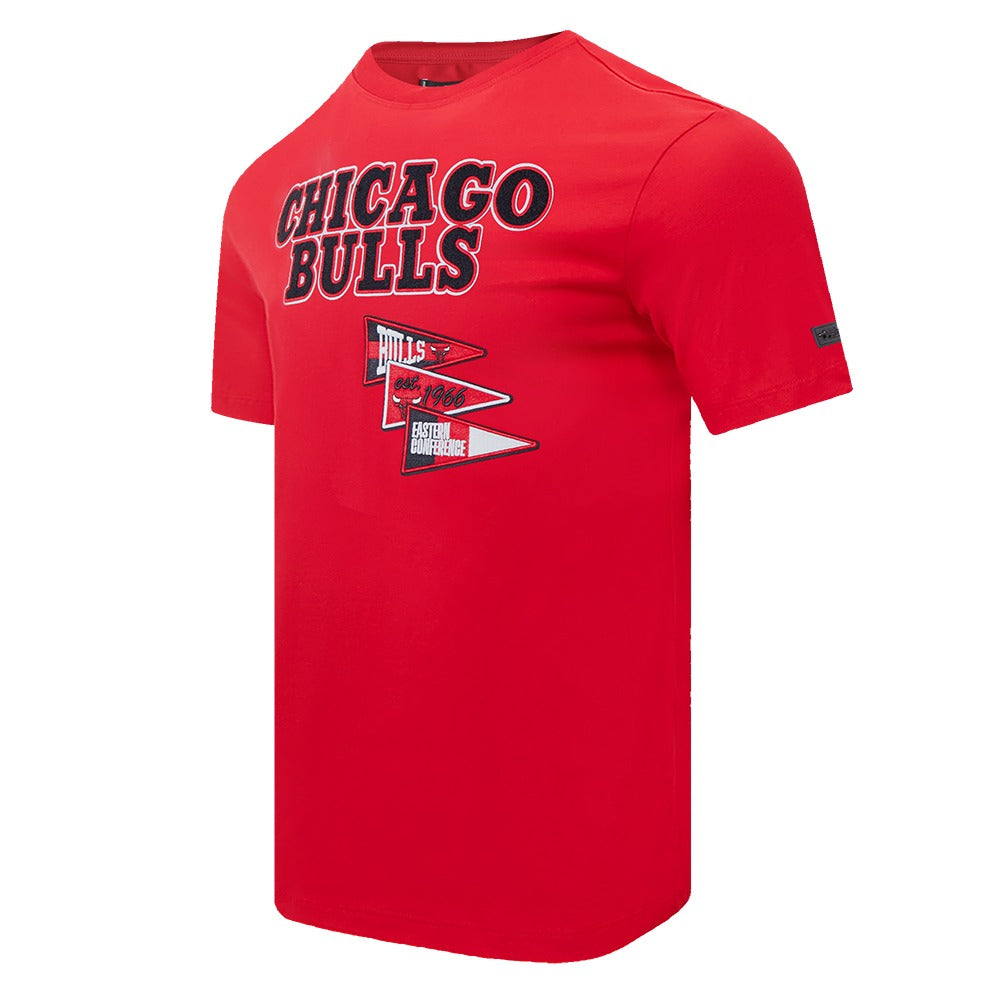 Chicago Bulls Men's Team Pennants S/S Tee