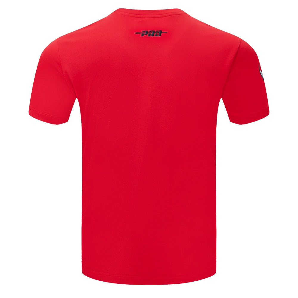 Chicago Bulls Men's Team Pennants S/S Tee