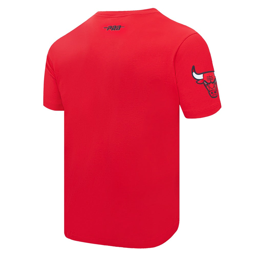 Chicago Bulls Men's Team Pennants S/S Tee
