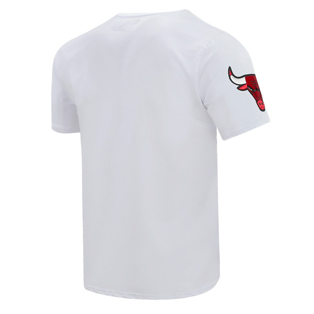 CHICAGO BULLS MEN'S S/S TEE CLASSIC CHENILLE