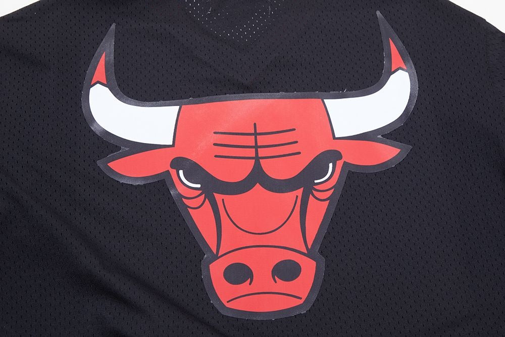 CHICAGO BULLS MEN'S S/S MESH TOP MESH