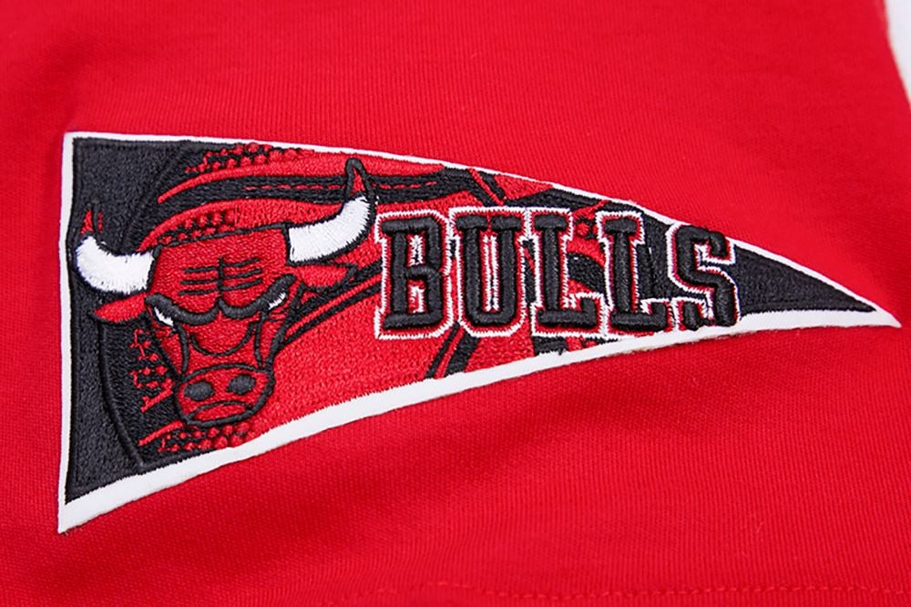CHICAGO BULLS MEN'S S/S TEE RETRO CLASSICS