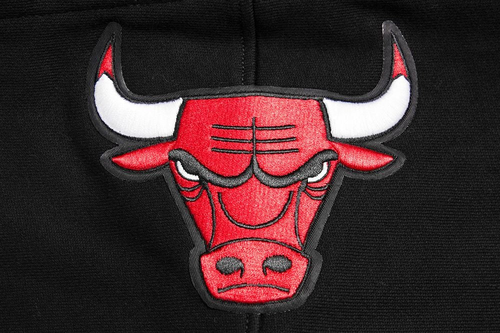 CHICAGO BULLS MEN'S PULL OVER HOODIE SCRIPT TAIL