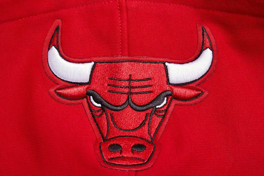 CHICAGO BULLS MEN'S PULL OVER HOODIE SCRIPT TAIL