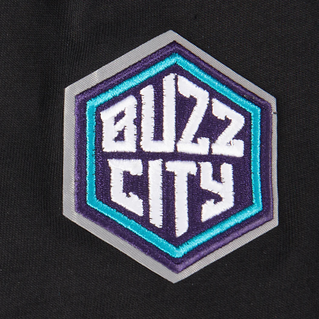 NBA CHARLOTTE HORNETS CLASSIC LITTLE BOYS SHORT SLEEVE STRIPED RIB TEE