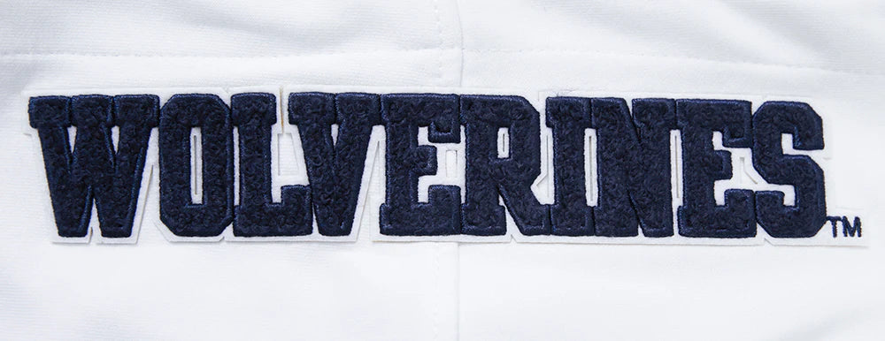 UNIVERSITY OF MICHIGAN CLASSIC MEN'S PO HOODIE