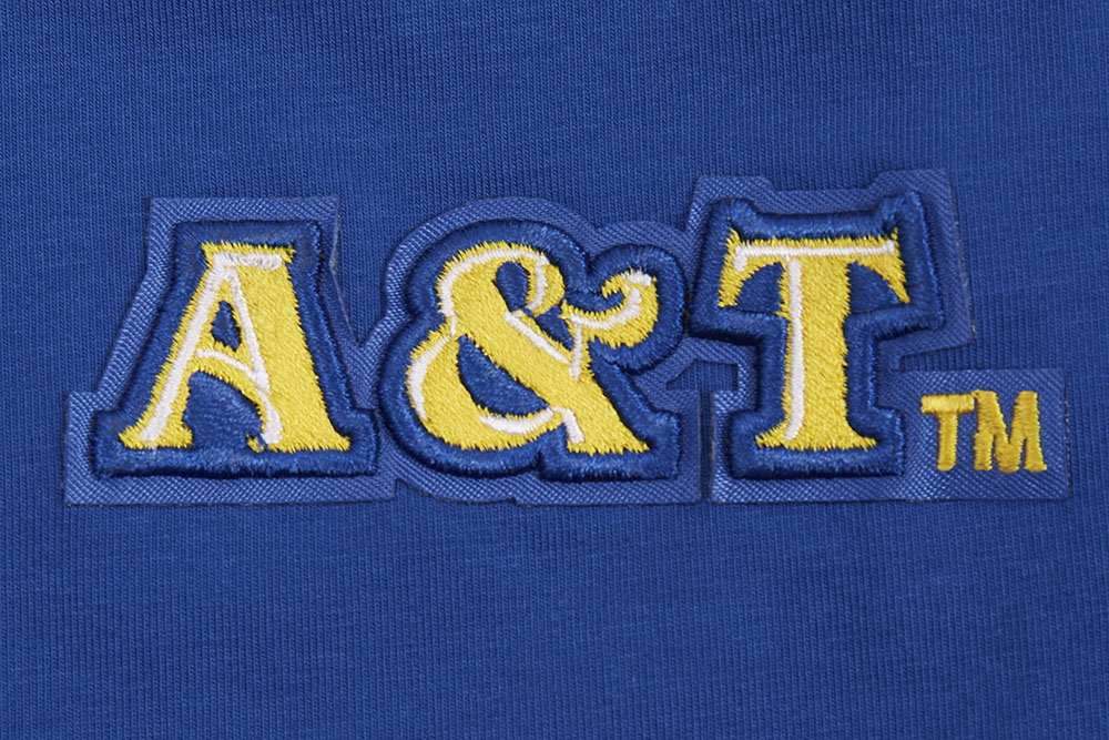 NORTH CAROLINA A&T STATE UNIVERSITY CLASSIC WOMEN'S SINGLE JERSEY BOXY TEE