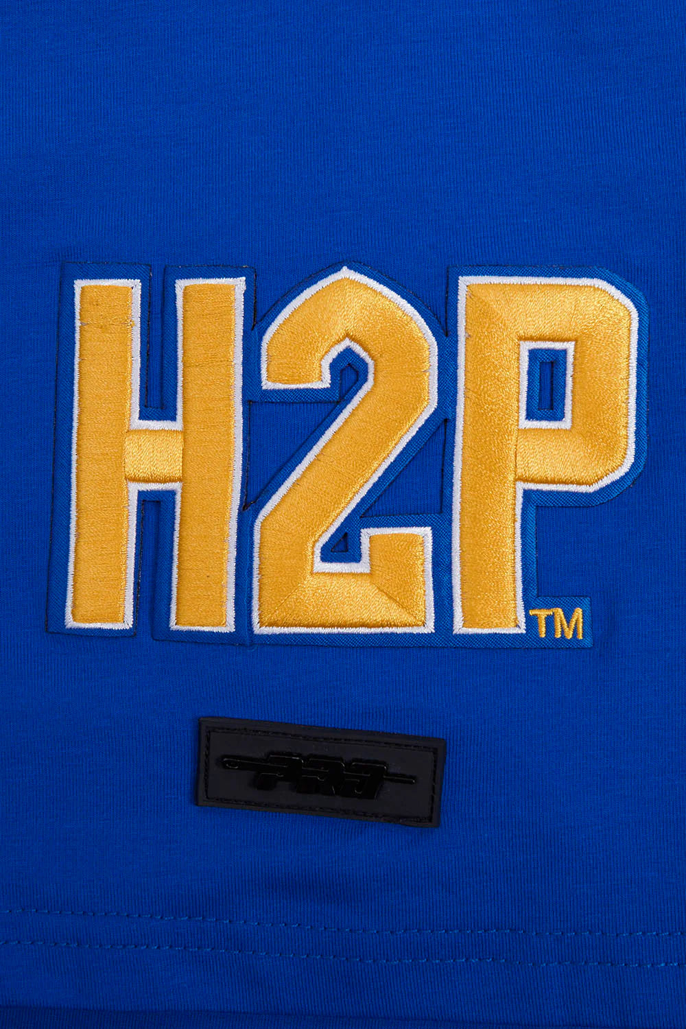 UNIVERSITY OF PITTSBURGH CLASSIC MEN'S TEE