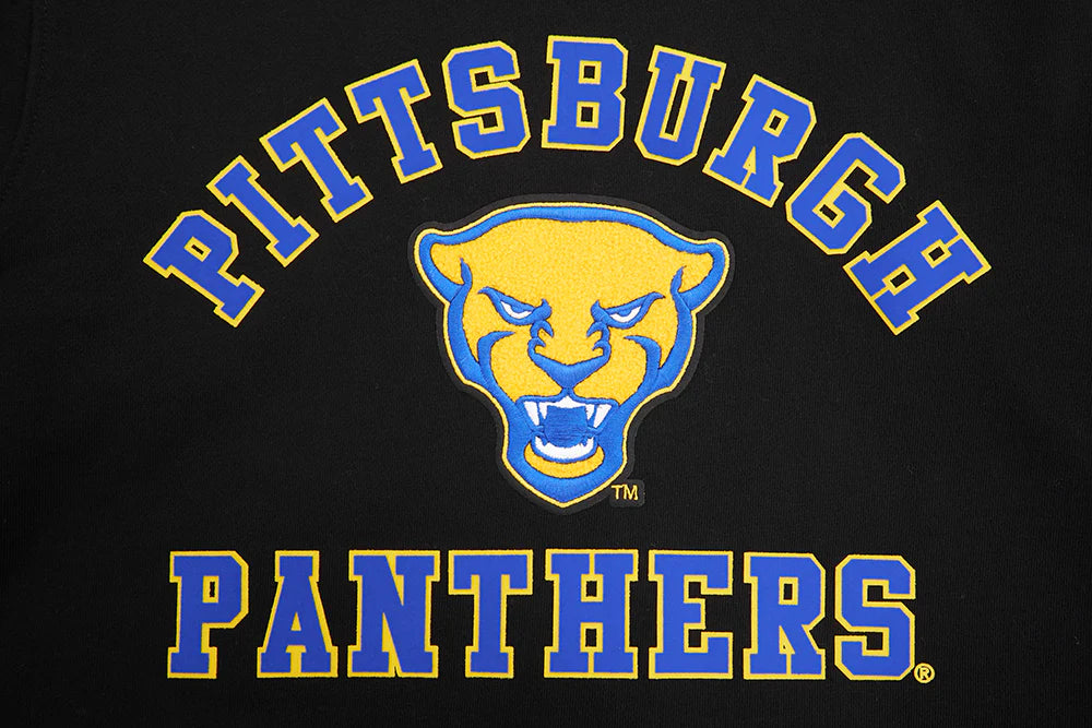 UNIVERSITY OF PITTSBURGH CLASSIC MEN'S STACKED LOGO PULLOVER HOODIE