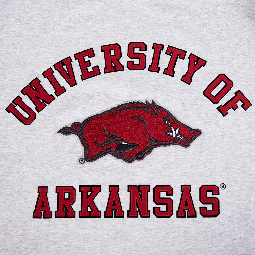 UNIVERSITY OF ARKANSAS CLASSIC MEN'S STACKED LOGO TEE