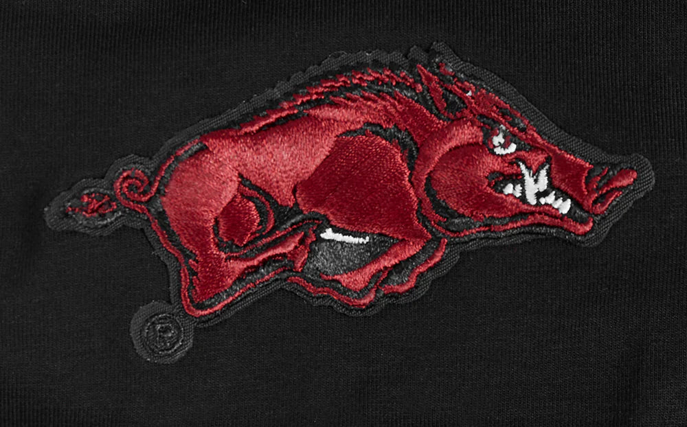 UNIVERSITY OF ARKANSAS FAYETTEVILLE CLASSIC WOMEN'S SINGLE JERSEY BOXY TEE