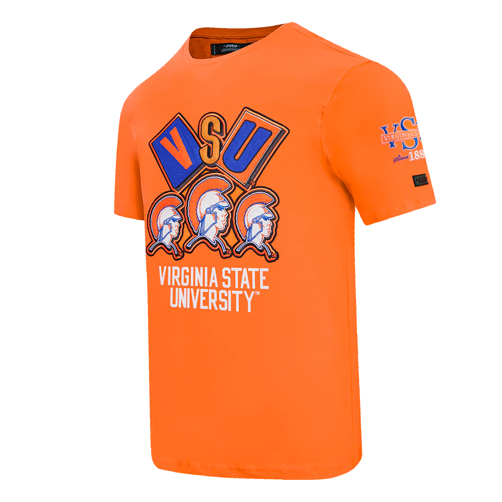 VIRGINIA STATE UNIVERSITY HOMECOMING SINGLE JERSEY MEN'S TEE