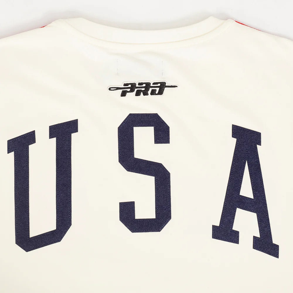 US SOCCER CLASSIC MEN'S 4 STAR SINGLE JERSEY STRIPED TEE