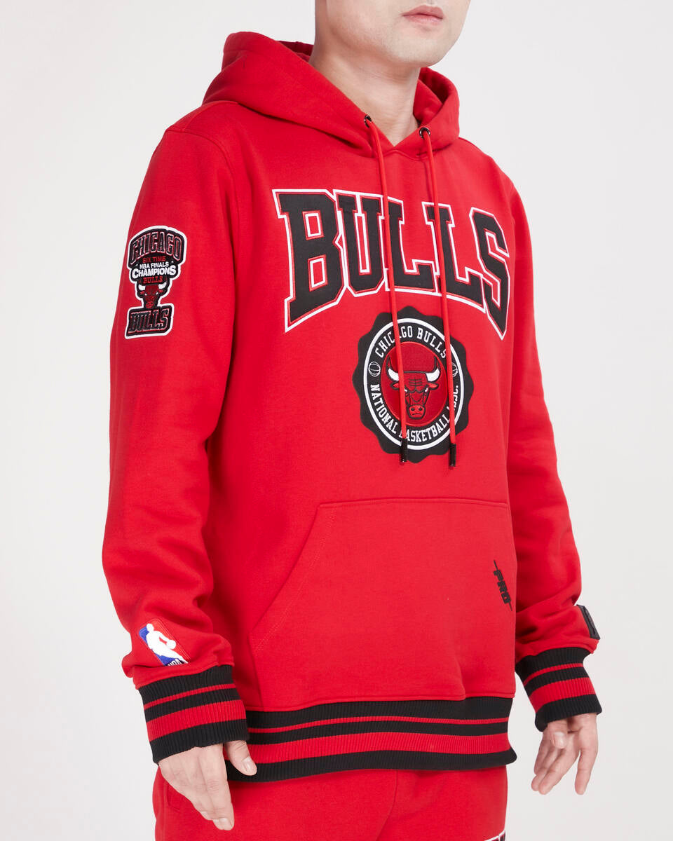 CHICAGO BULLS CREST EMBLEM RIB FLC PO HOODIE