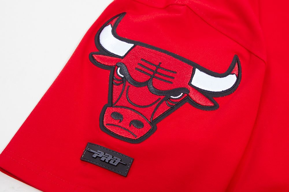 CHICAGO BULLS CLASSIC CHENILLE SJ TEE