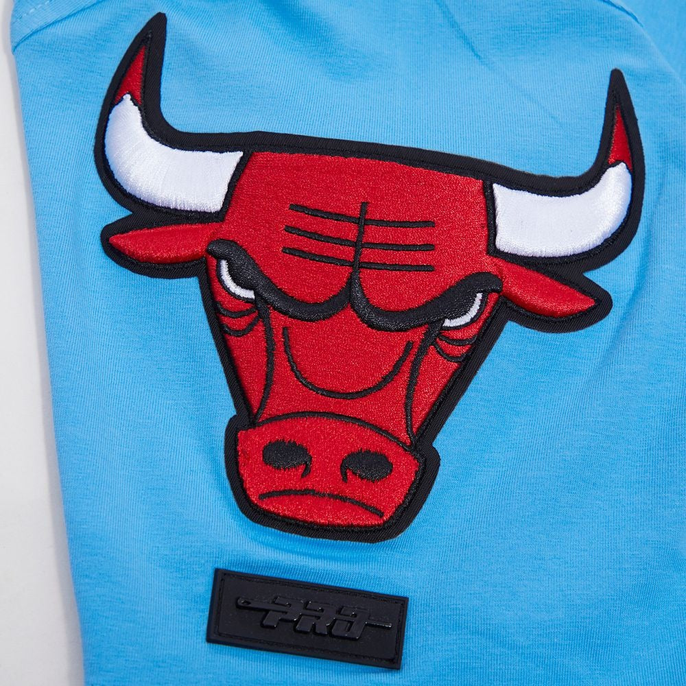 CHICAGO BULLS CLASSIC CHENILLE SJ TEE