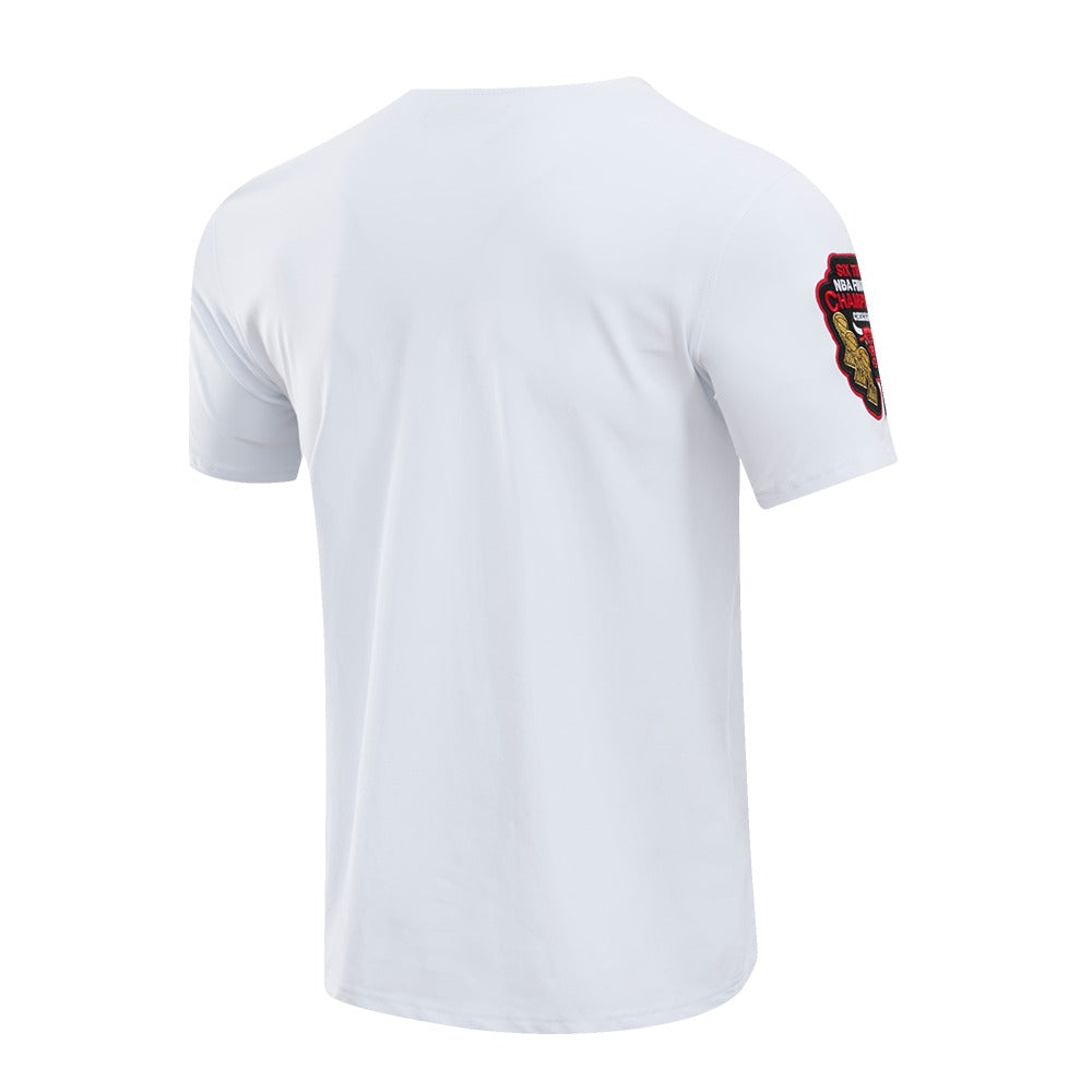 CHICAGO BULLS CLASSIC CHENILLE SJ TEE