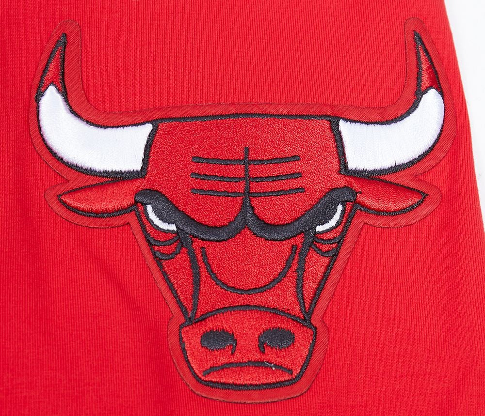 CHICAGO BULLS SCRIPT TAIL SJ TEE