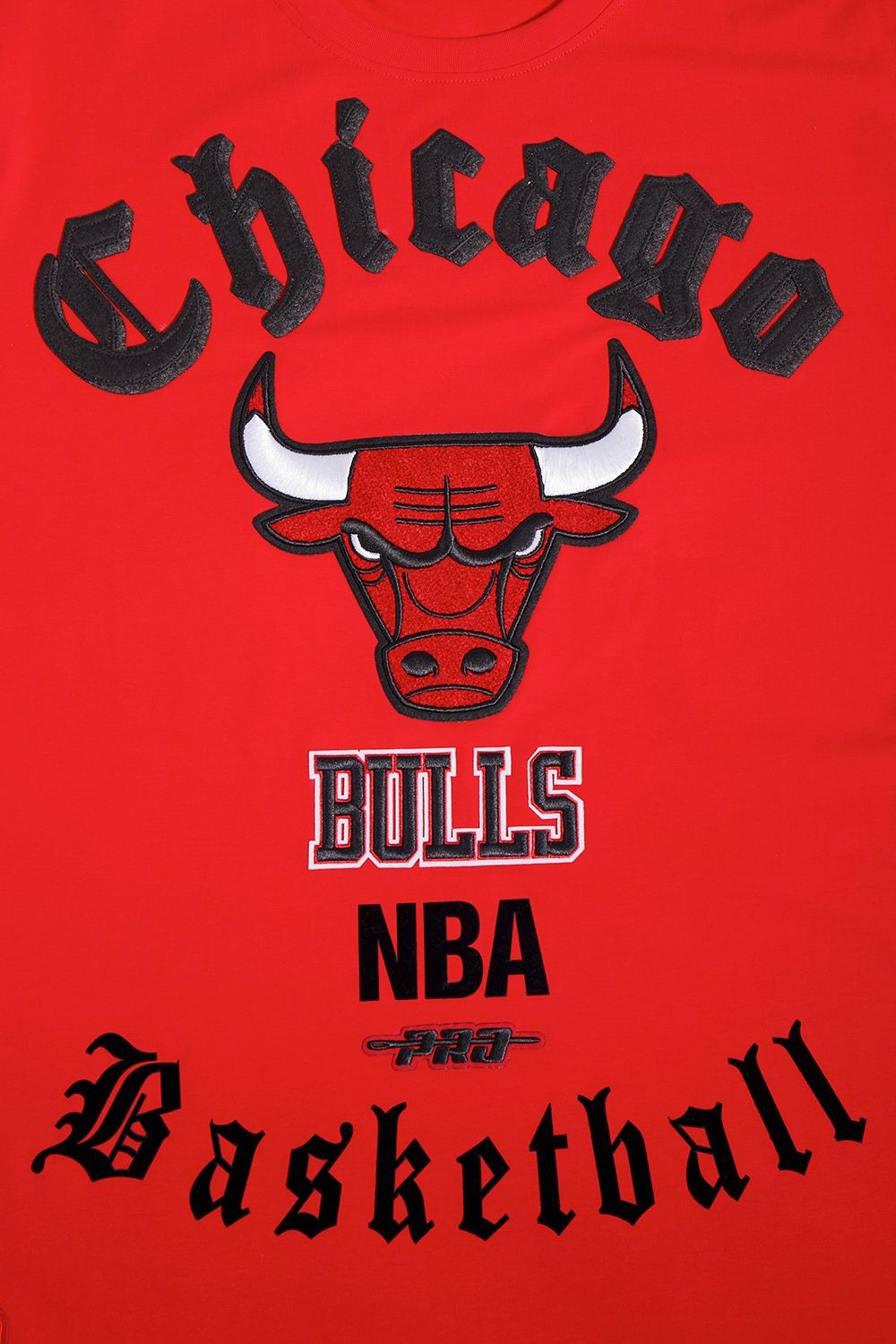 CHICAGO BULLS OLD ENGLISH SJ TEE