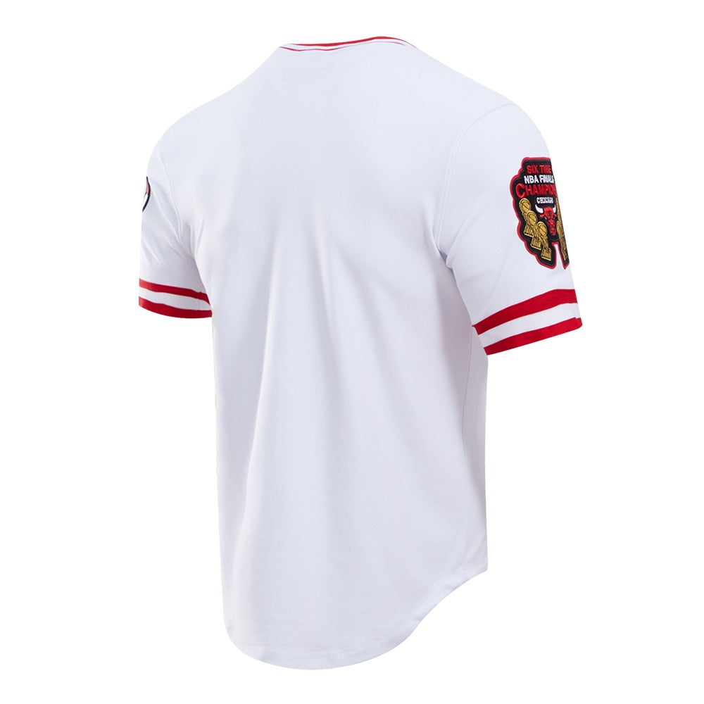 CHICAGO BULLS CLASSIC CHENILLE DK TEE