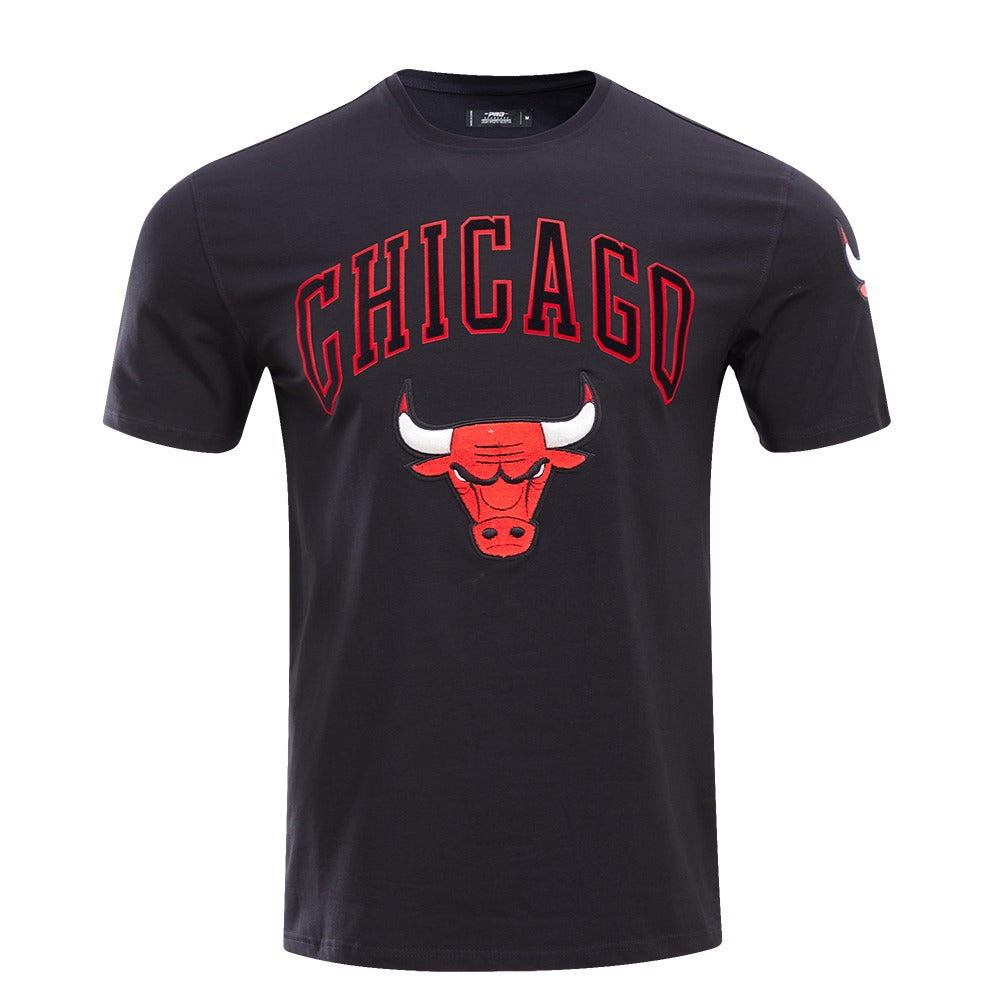 CHICAGO BULLS CLASSIC BRISTLE SJ TEE