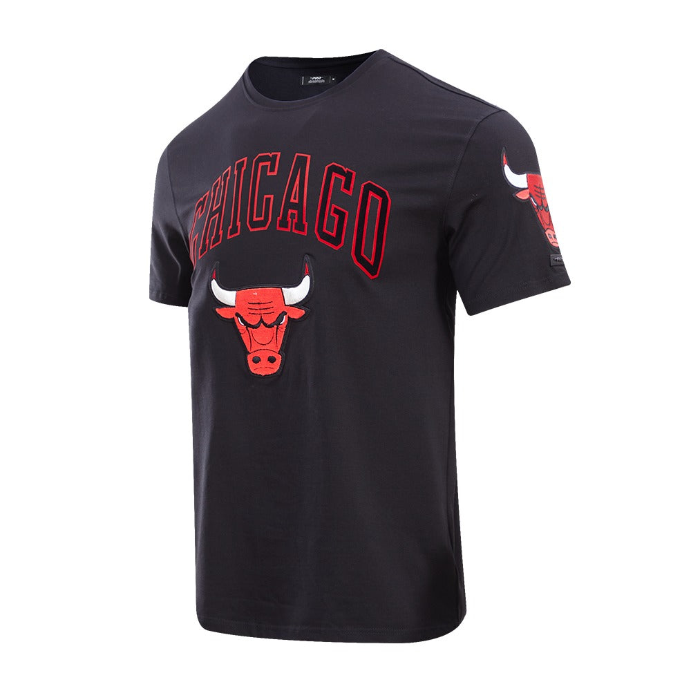 CHICAGO BULLS CLASSIC BRISTLE SJ TEE