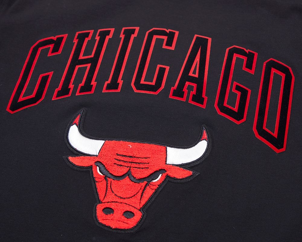 CHICAGO BULLS CLASSIC BRISTLE SJ TEE