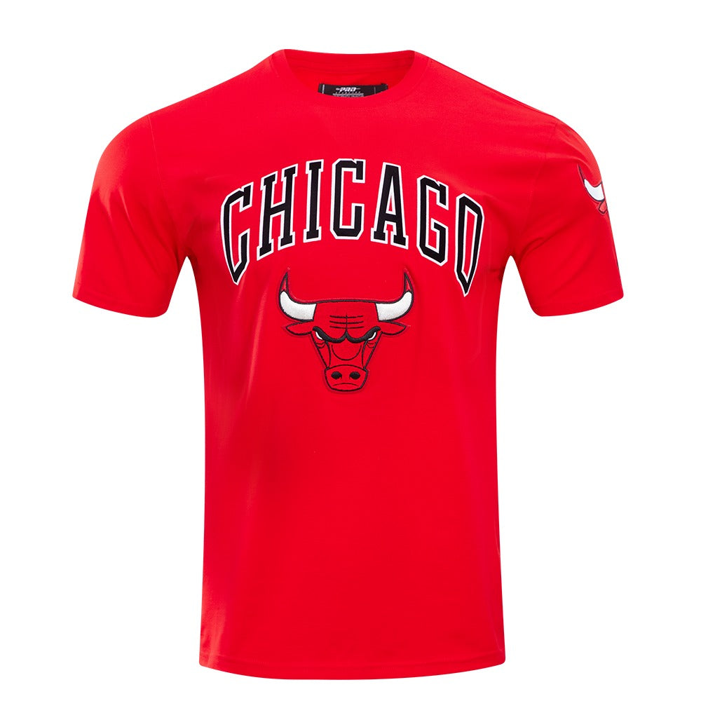 CHICAGO BULLS CLASSIC BRISTLE SJ TEE