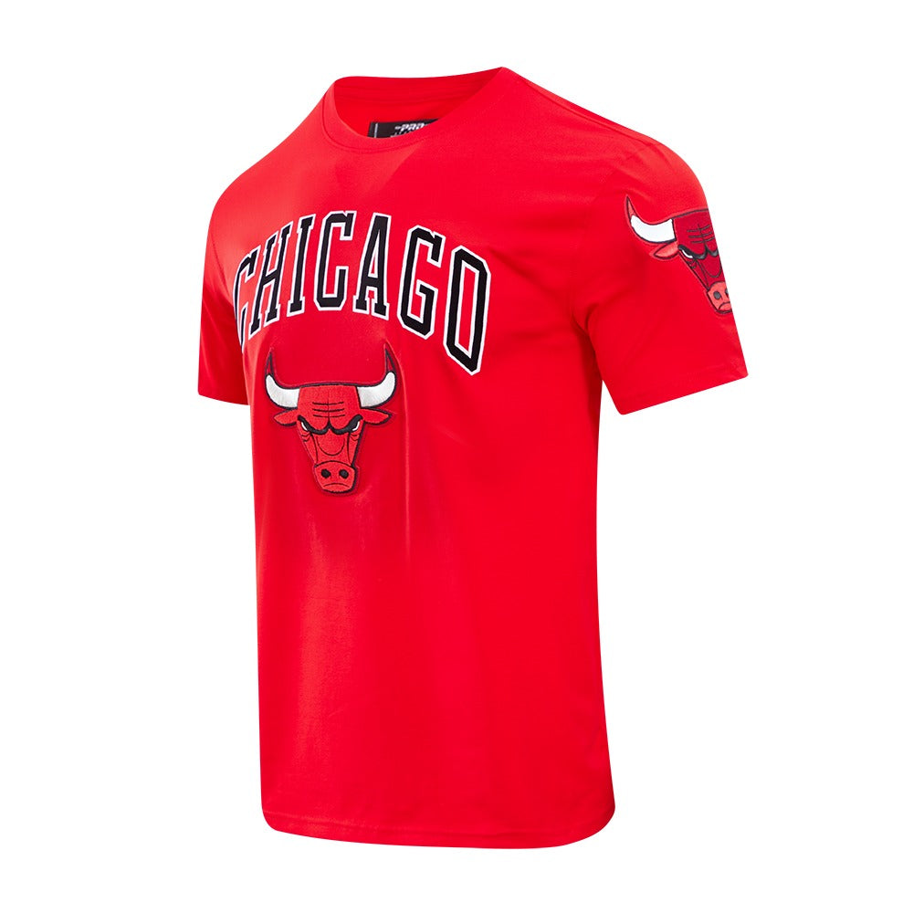 CHICAGO BULLS CLASSIC BRISTLE SJ TEE