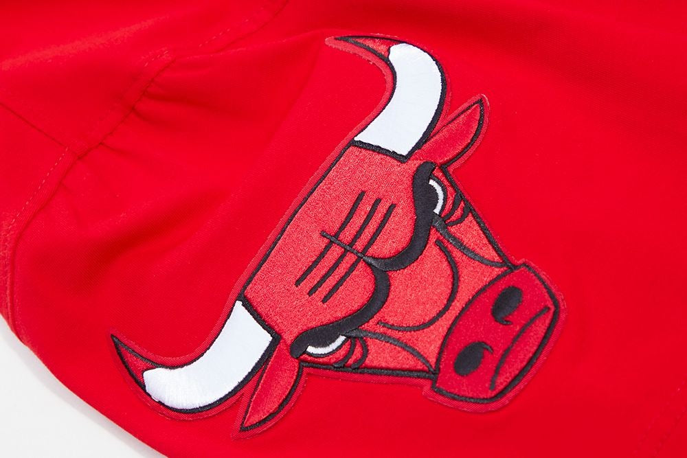 CHICAGO BULLS CLASSIC BRISTLE SJ TEE