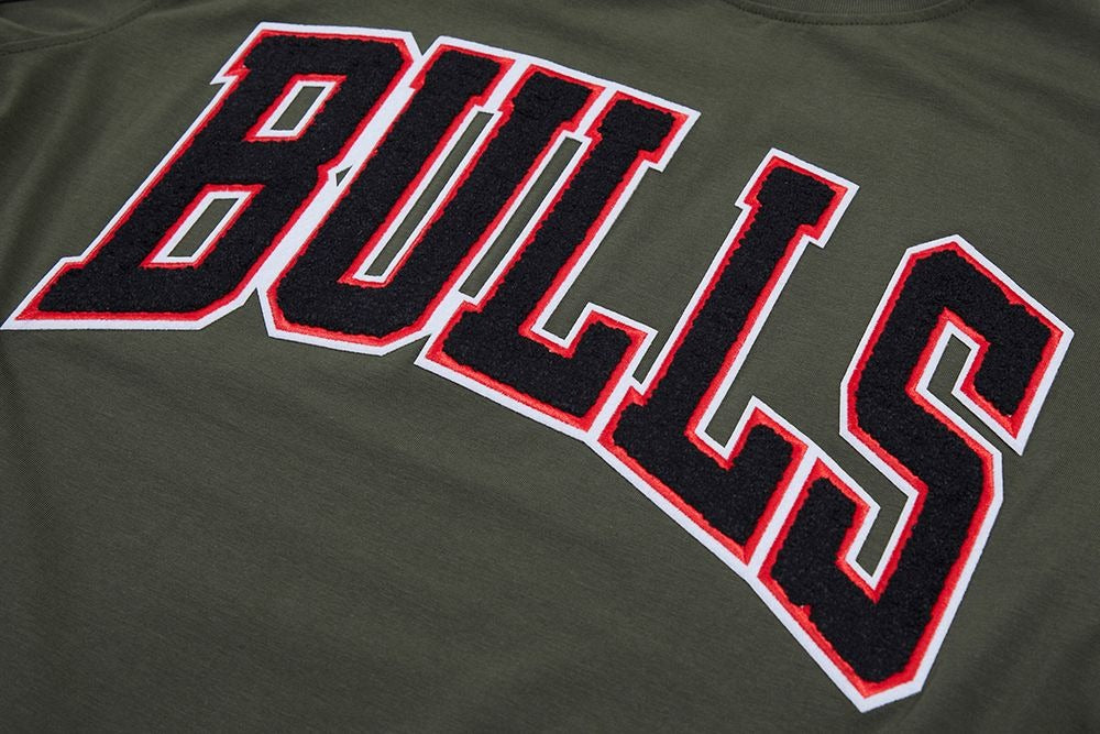 CHICAGO BULLS LOGO PRO TEAM SHIRT