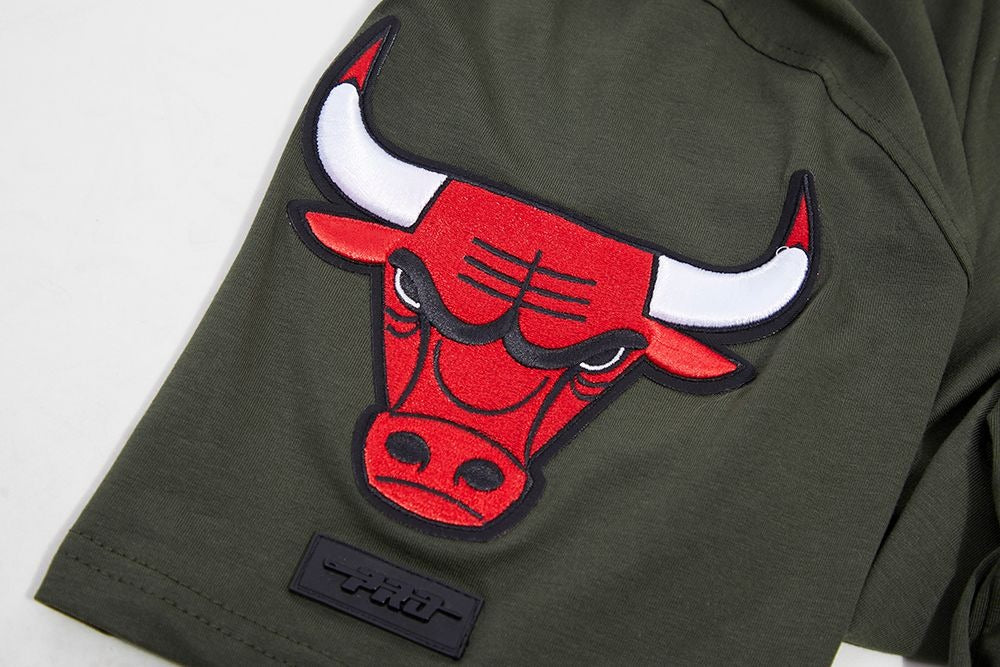 CHICAGO BULLS LOGO PRO TEAM SHIRT