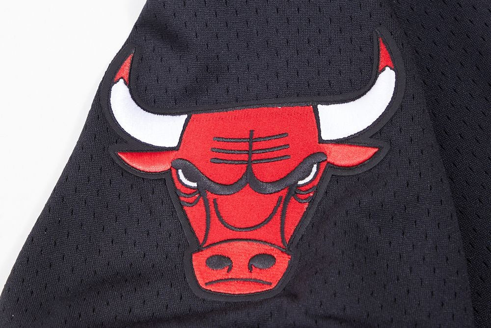 CHICAGO BULLS LOGO CLASSIC MESH PRO TEAM SS