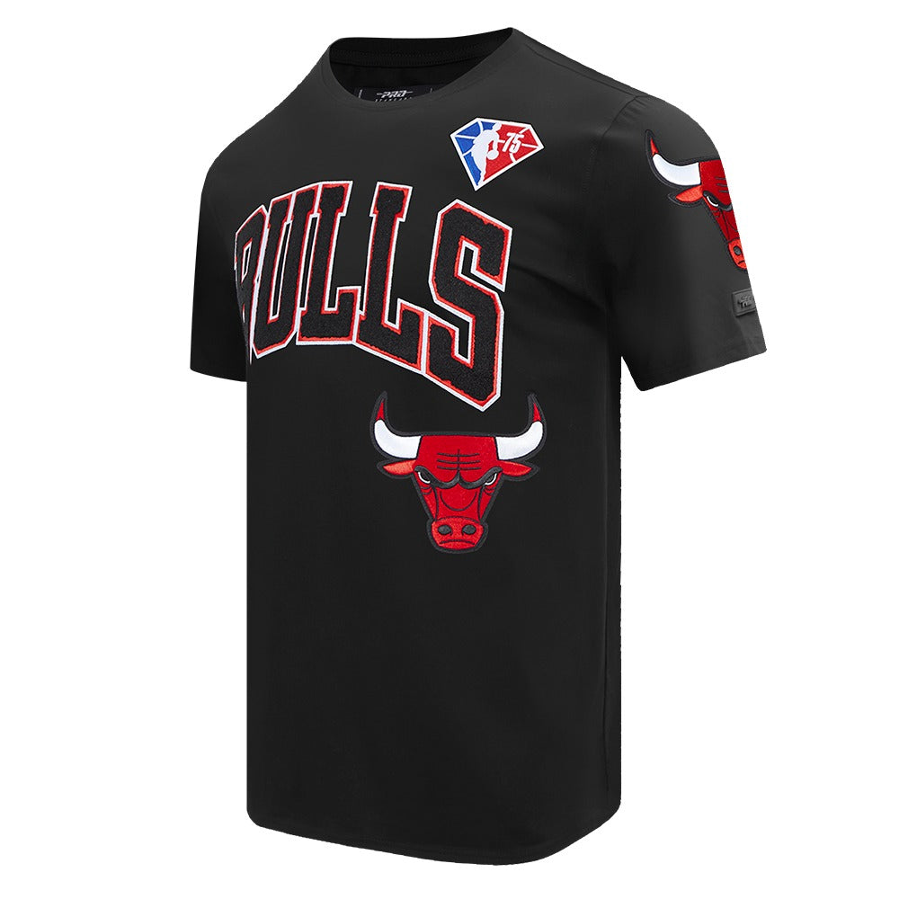 CHICAGO BULLS TEAM LOGO SHIRT - FC