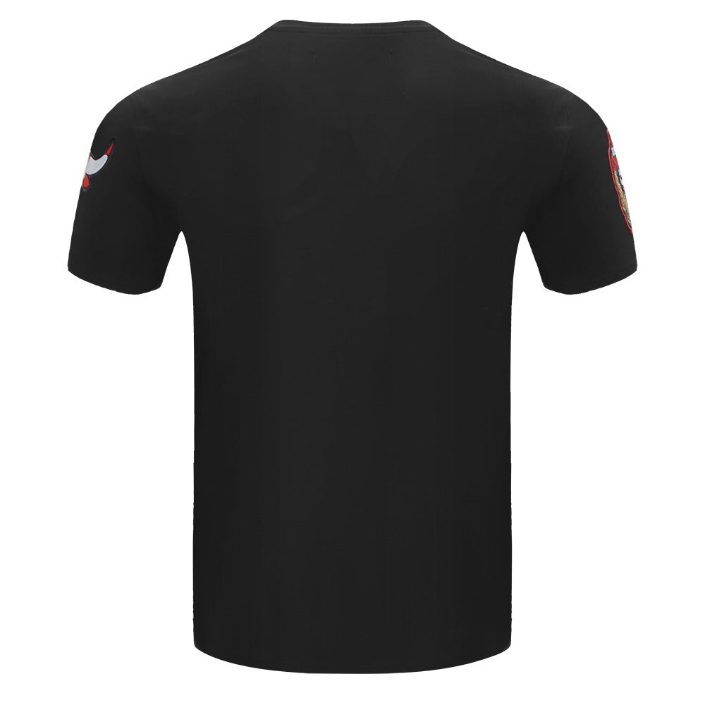 CHICAGO BULLS TEAM LOGO SHIRT - FC