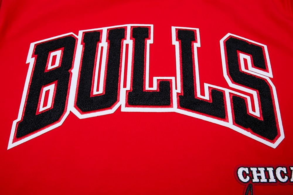 CHICAGO BULLS RETRO CLASSIC SJ STRIPED TEE