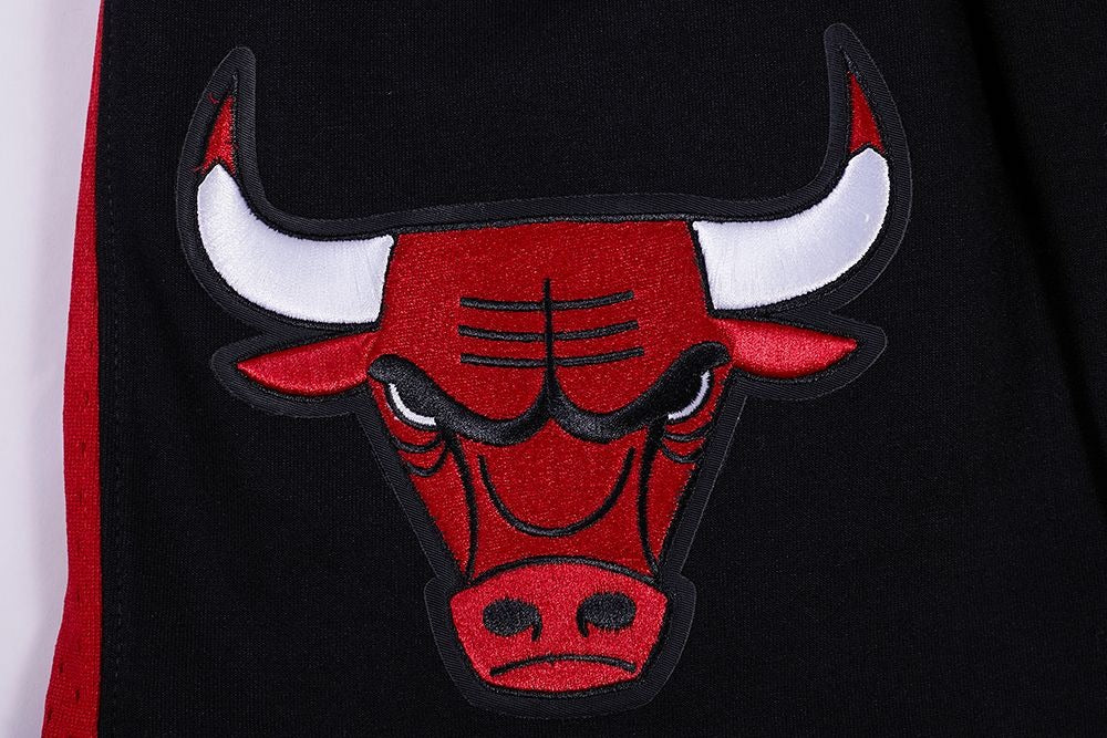 CHICAGO BULLS SCRIPT TAIL DK 2.0 SHORT