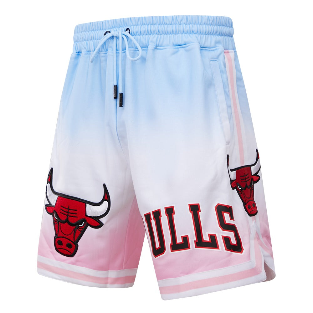 CHICAGO BULLS LOGO PRO TEAM SHORT OMBRE