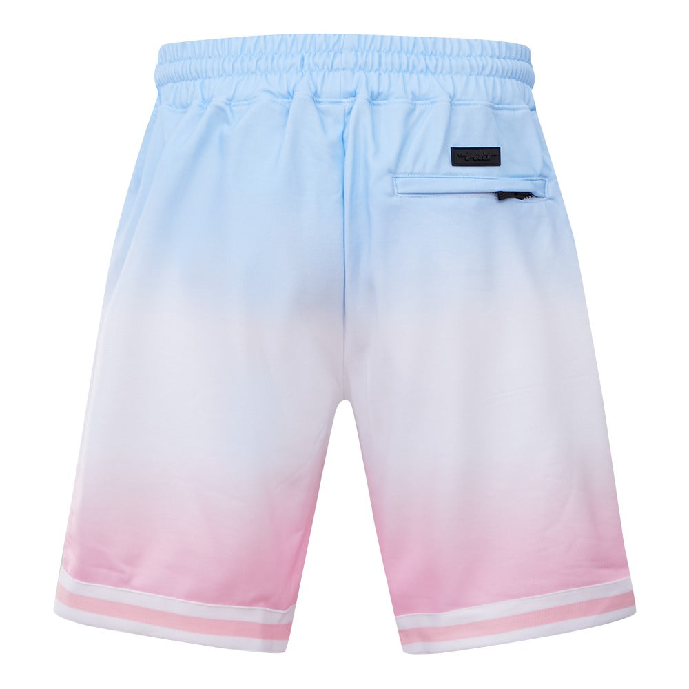 CHICAGO BULLS LOGO PRO TEAM SHORT OMBRE