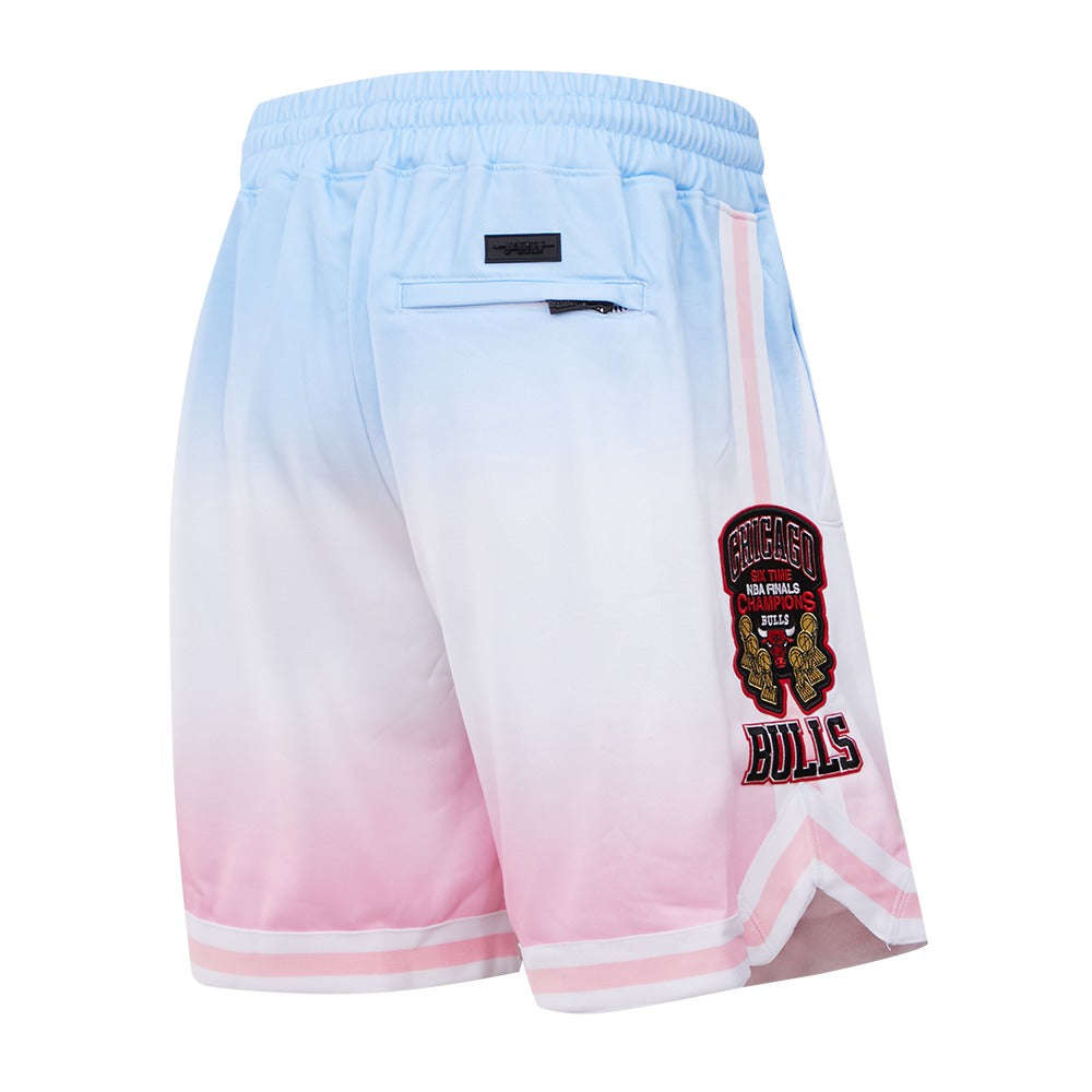 CHICAGO BULLS LOGO PRO TEAM SHORT OMBRE