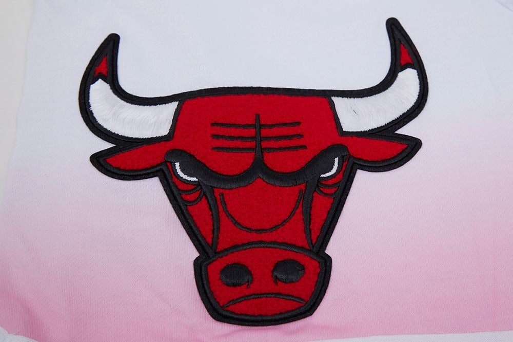 CHICAGO BULLS LOGO PRO TEAM SHORT OMBRE